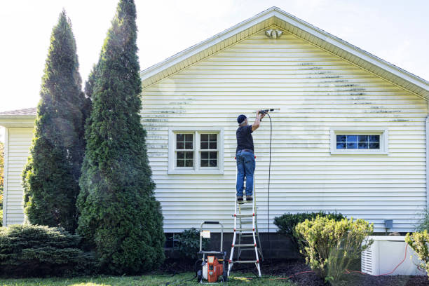 Best Sidewalk Pressure Washing  in First Mesa, AZ