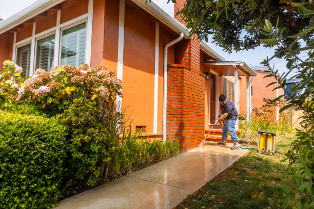Best Local Pressure Washing Services  in First Mesa, AZ